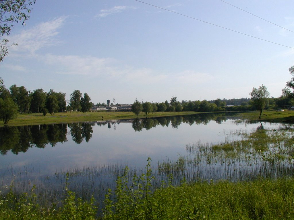 Ленинский пруд, Первомайск