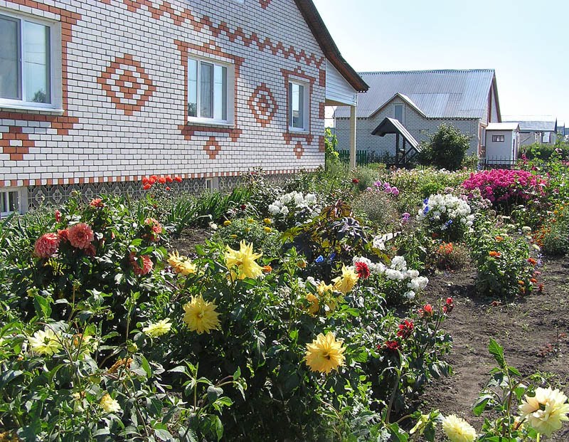 Сельский дом (Village house), Сеченово
