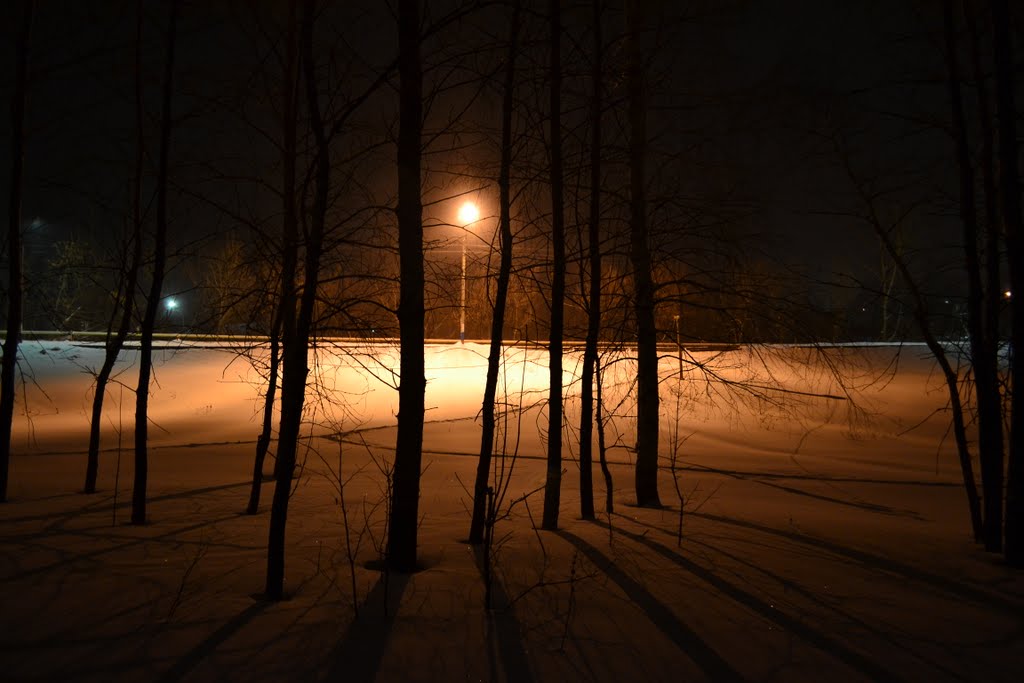 Зимний вечер, Сеченово