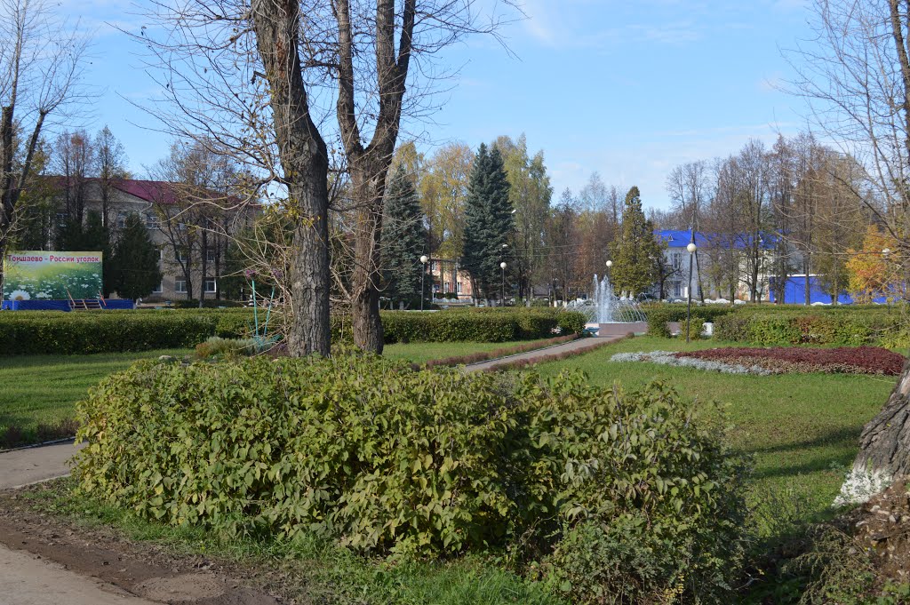 Вид на "Площадь Мира", Тоншаево