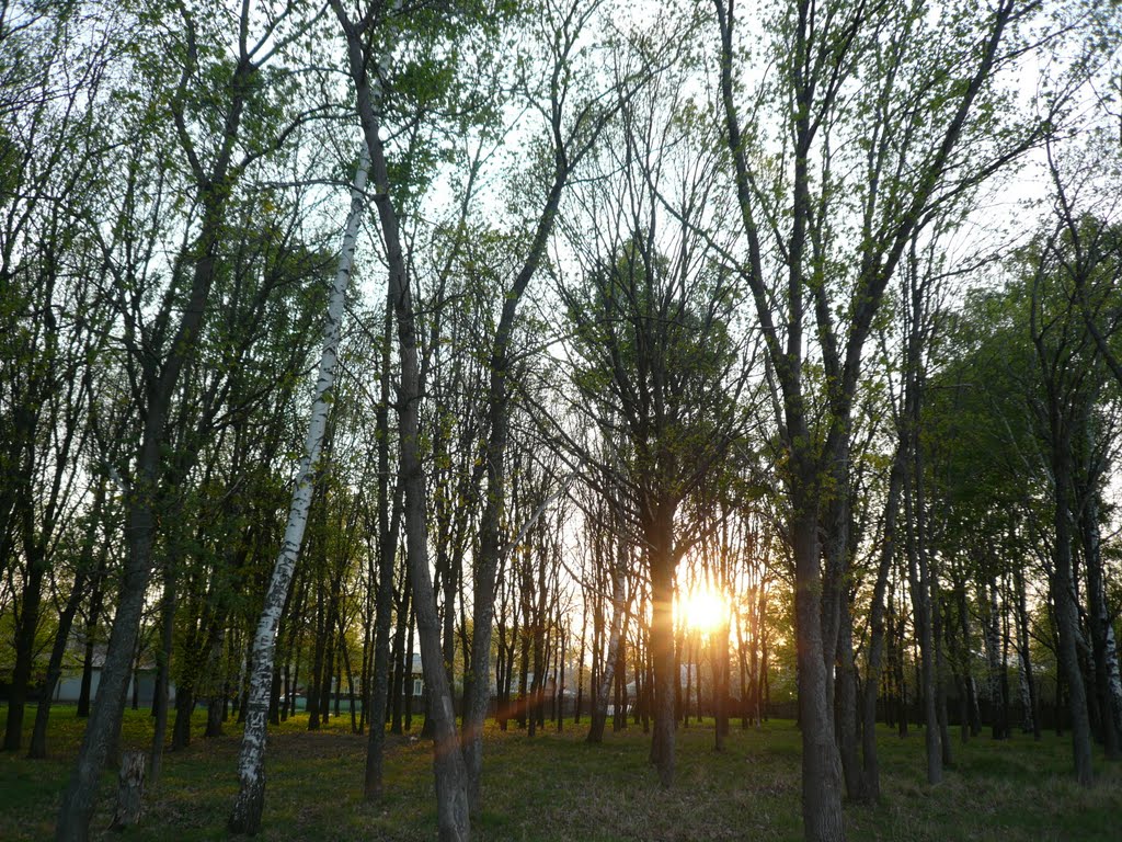 Закат в Пановском саду., Чкаловск