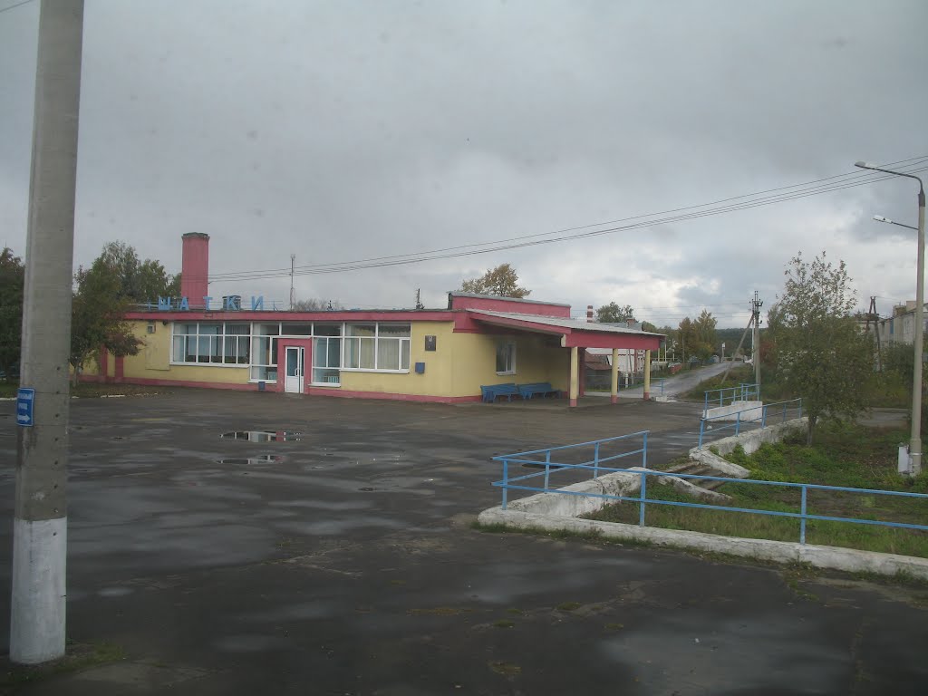 станция Шатки (вид из поезда), Шатки