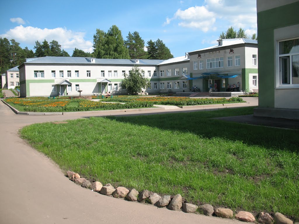 Шатковская центральная районная больница, Шатки