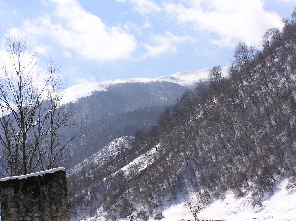 Caucasus, Дылым