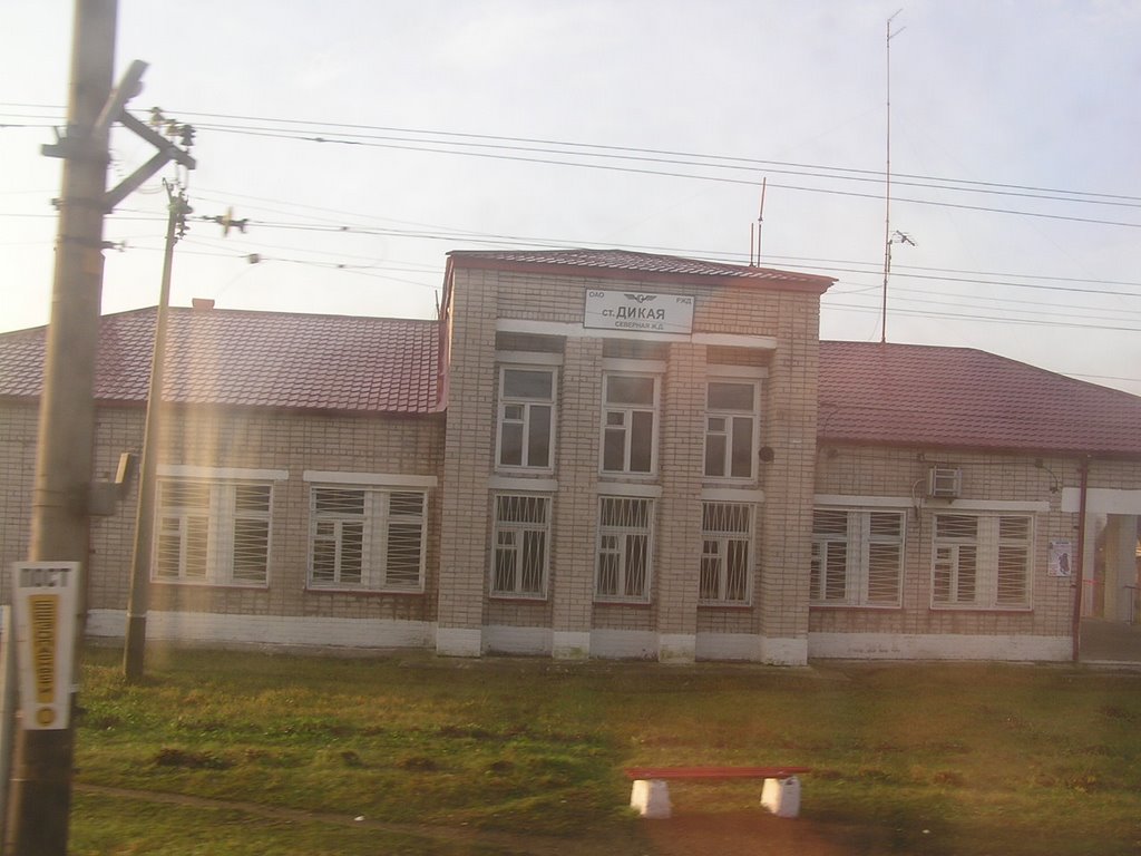 Станция Дикая, Ершовка