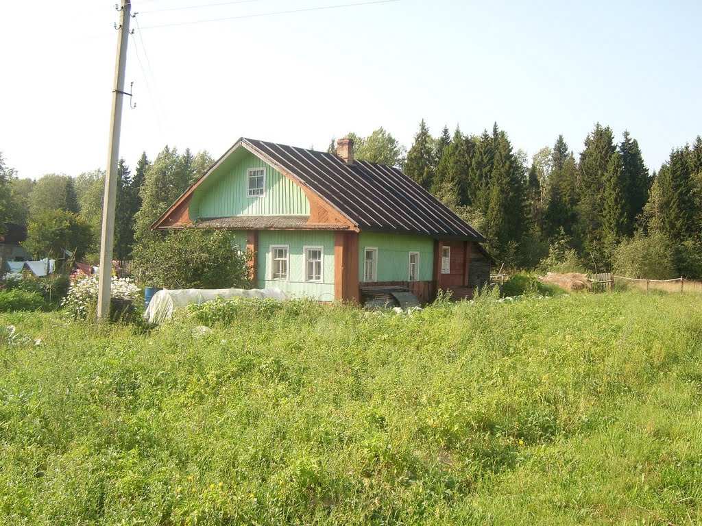 Дом в Дикой, Ершовка
