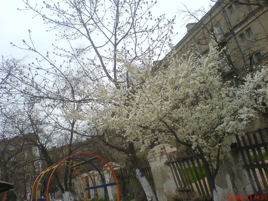 детский сад №5, Каспийск