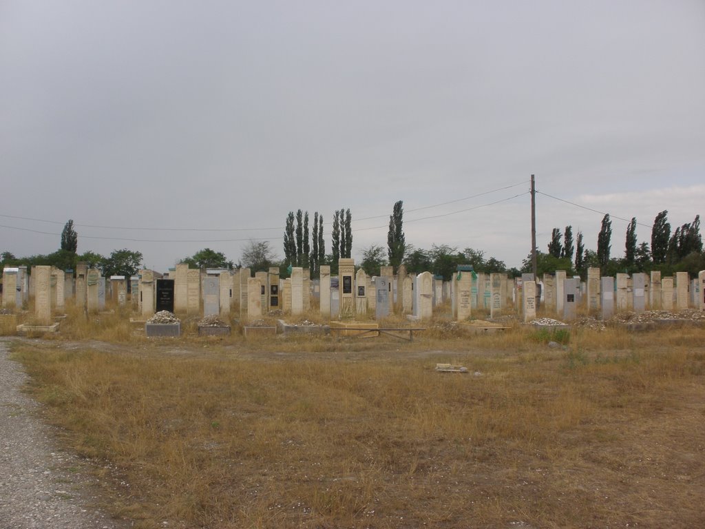 Кладбище возле Султан-Янгиюрта, Кизилюрт