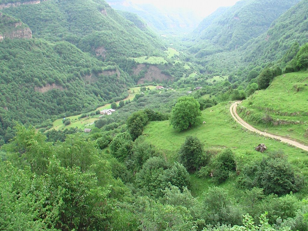 КАЙТАГСКИЙ Р-ОН. с.АДАГА., Курах