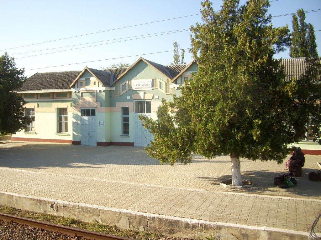 Станция Червлённая-Узловая, Терекли-Мектеб