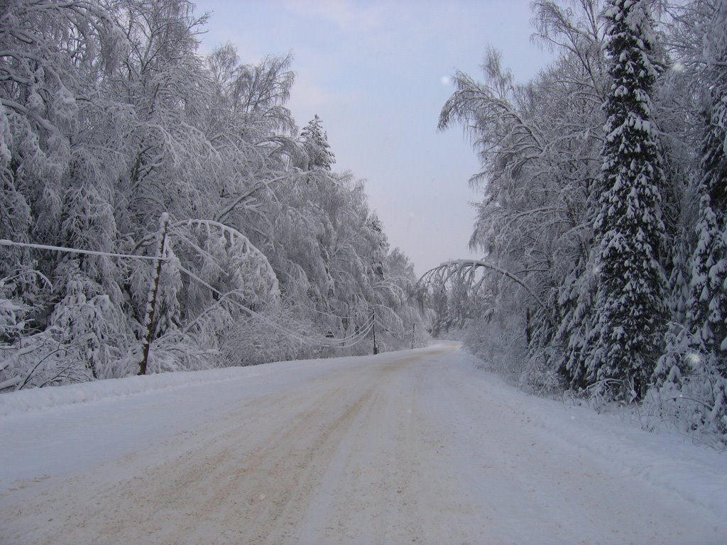 Зимняя дорога, Архиповка