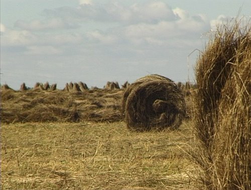 Sheaf of flax, Верхний Ландех