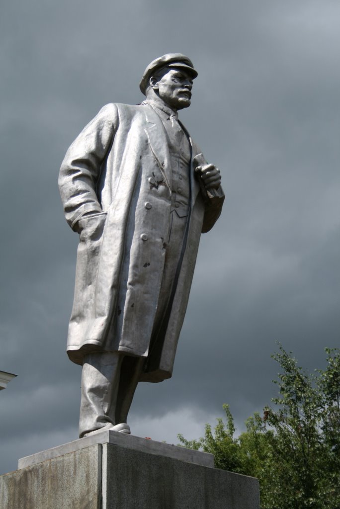 Ленин в Вичуге, Вичуга