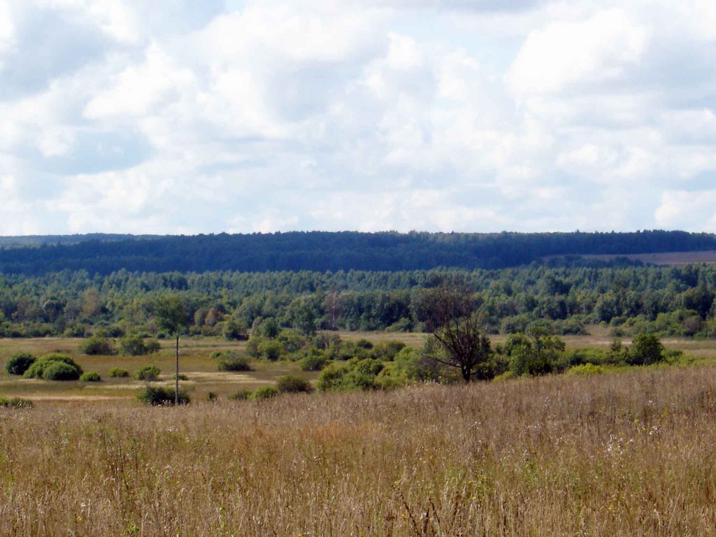 Пейзаж в районе д. Жуково, Дуляпино