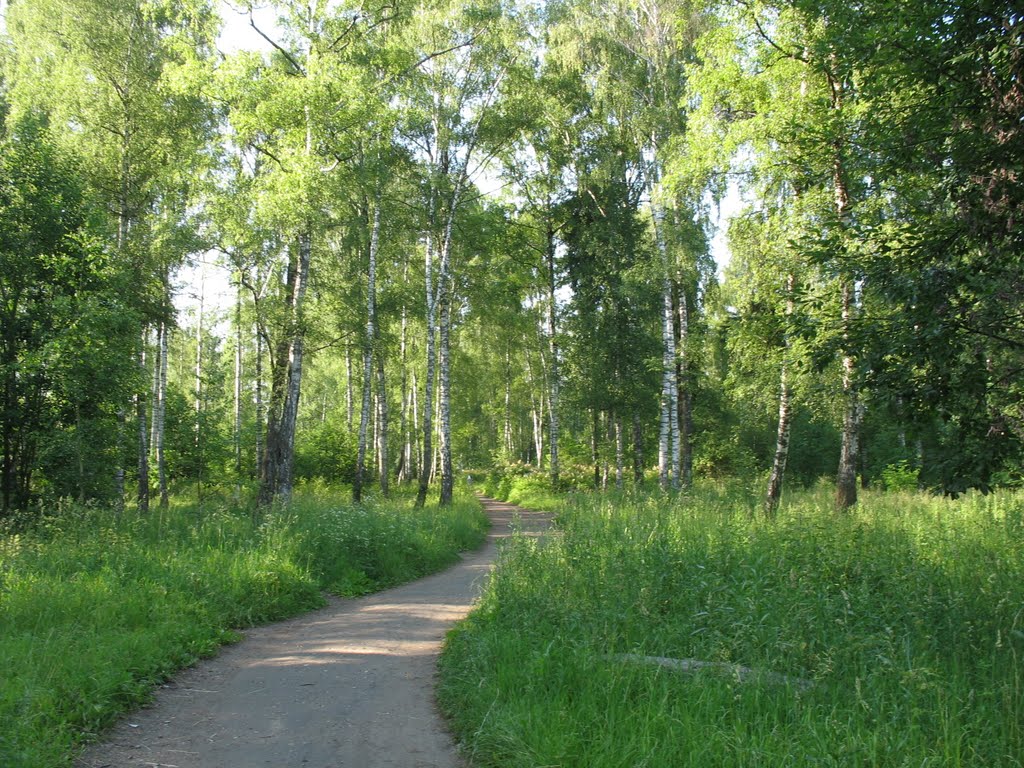 Дорога в парке, Заволжск