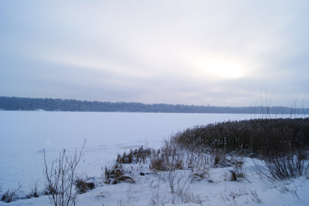 Зимняя Волга, Заречный