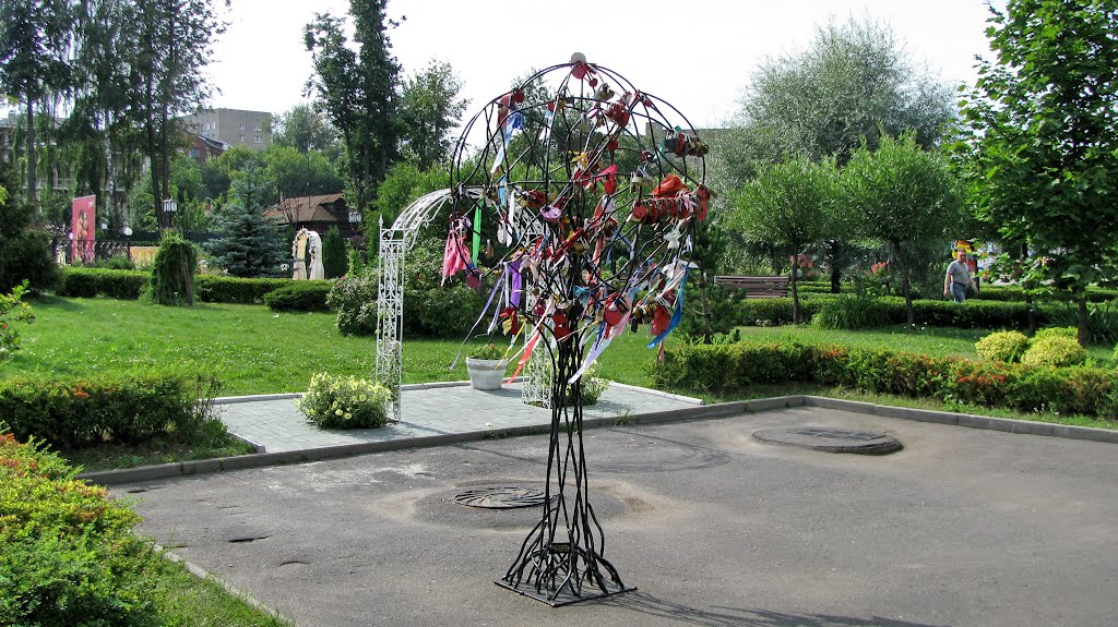 Дерево любви в "Шереметьев парк-отеле" город Иваново, Иваново