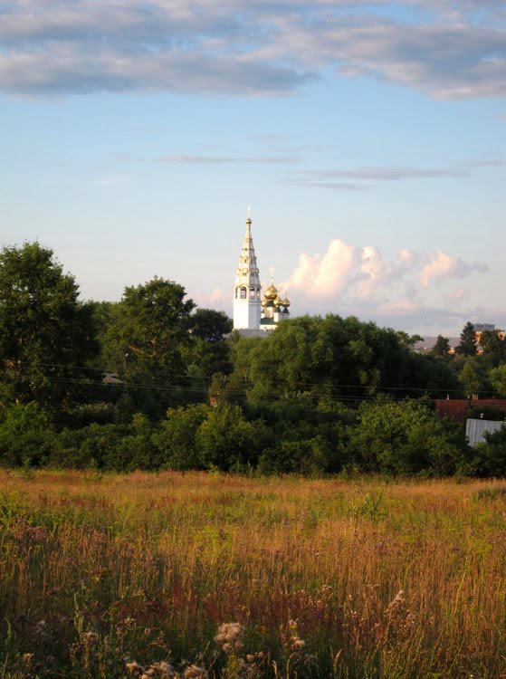 Николаевская церковь села Яковлевского., Приволжск