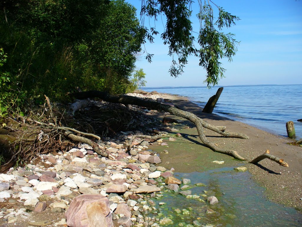 Берег Волги, Пучеж