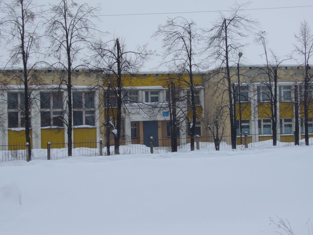 Школа №2, Пучеж