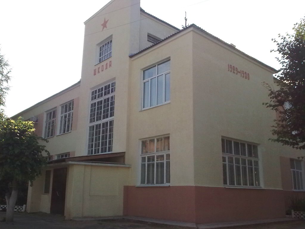 One of schools, Родники