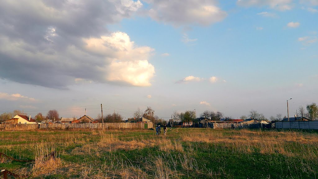 поле, Тейково