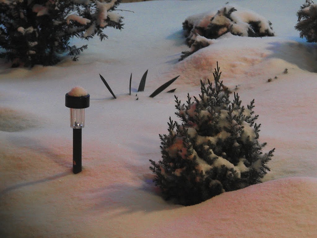 Маленькая ёлочка на  разноцветном снегу., Шуя