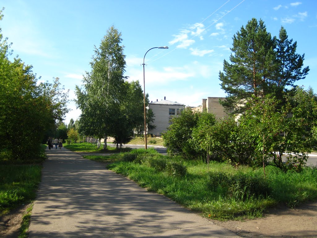 Улица Школьная, Саянск