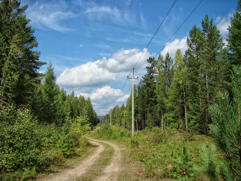 ЛЭП в лесу. - Power lines in the Siberian forest., Атагай