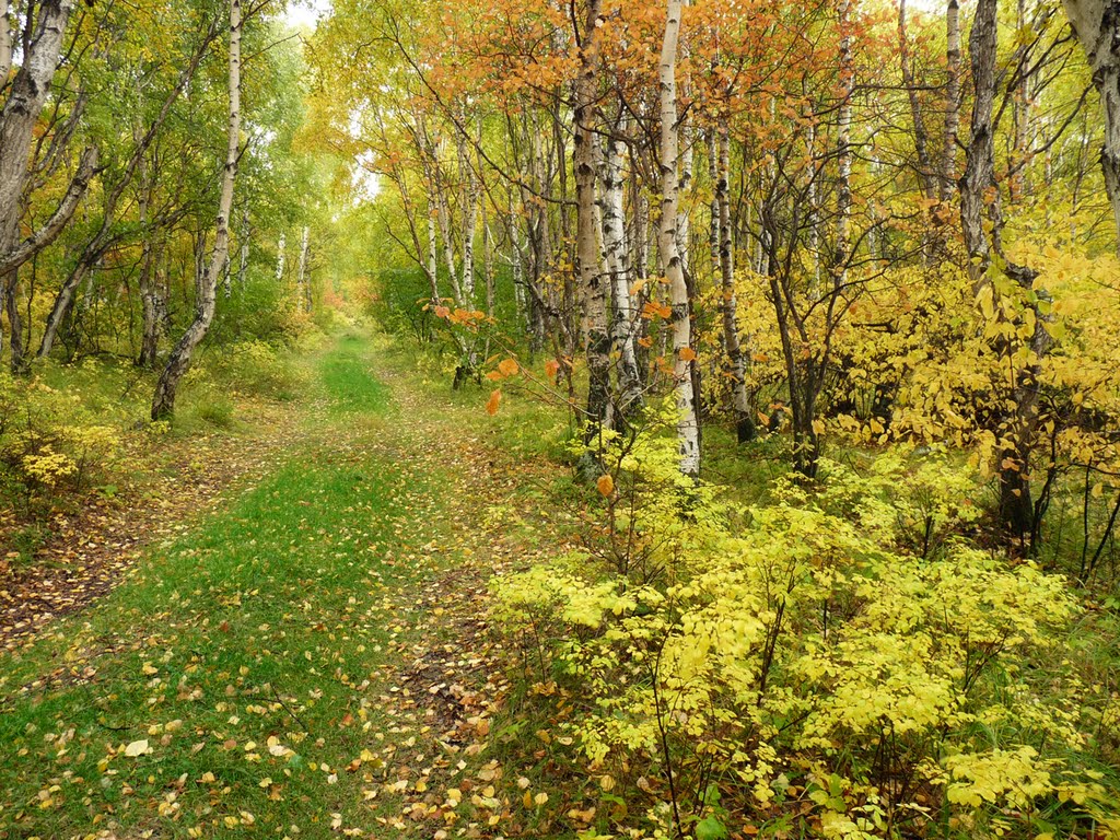 Краски осени. Autumn Colours., Байкал