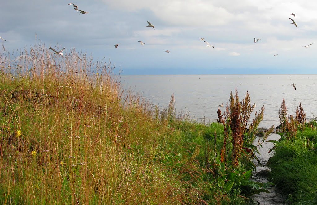 Чайки над Байкалом, Байкал