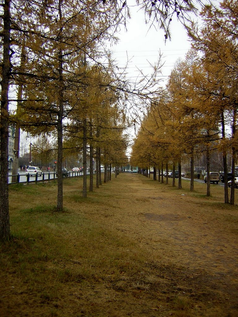 Осень 2010, Братск