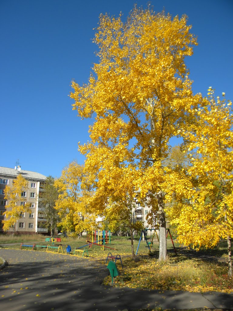 Осень, Братск