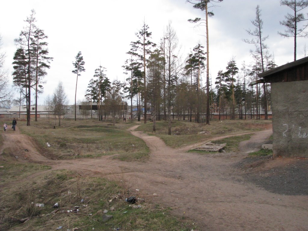 Grove, facing West, Вихоревка