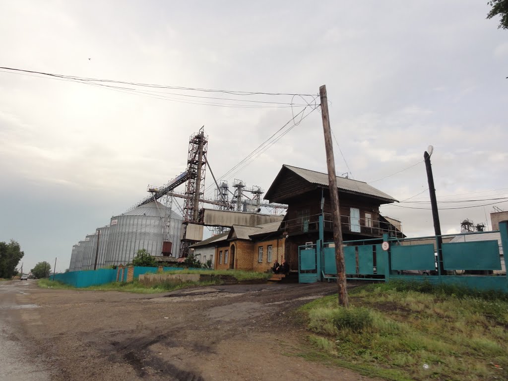 "В Сибири не было войны, но мы огнём её задеты" IZI Travel