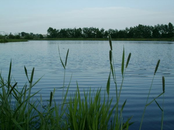 Озеро возле танка, Черемхово