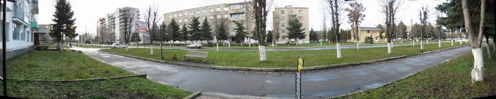 Панорама улицы Ленина, Майский