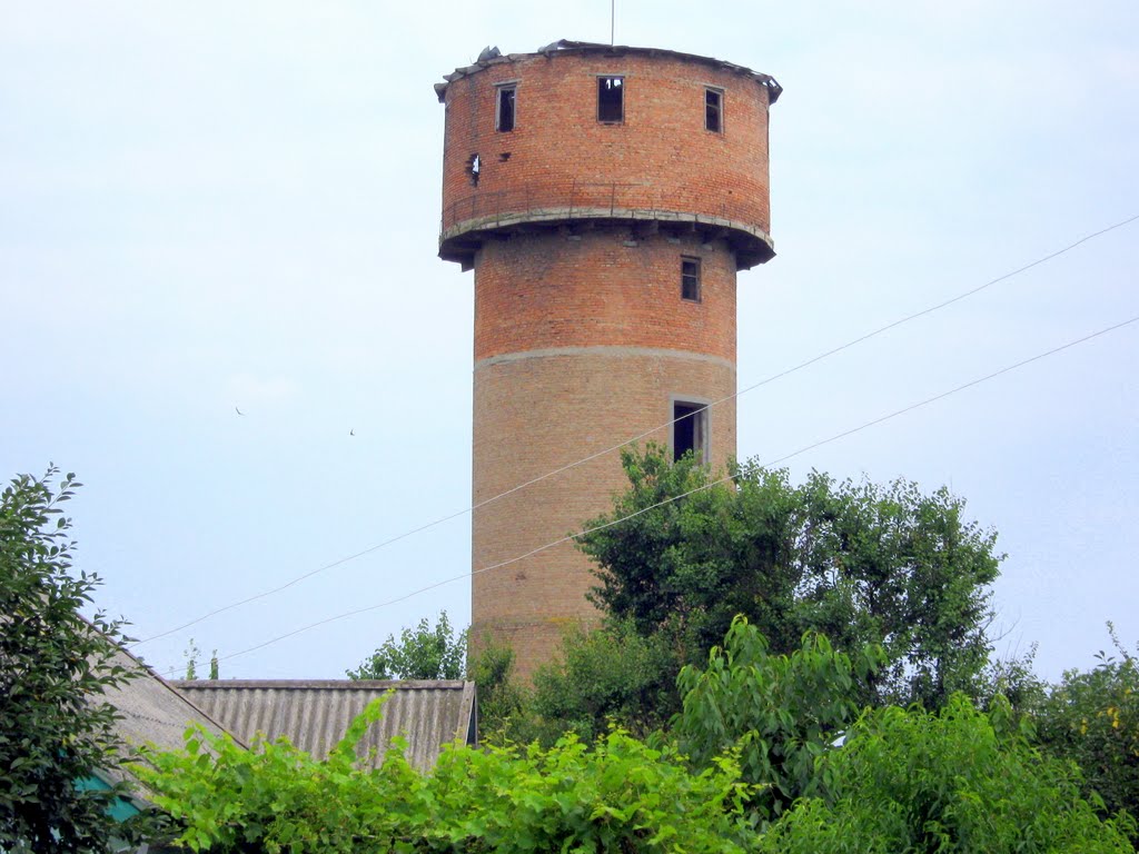 Старая водонапорная башня "Госплемптицесовхоза", Майский