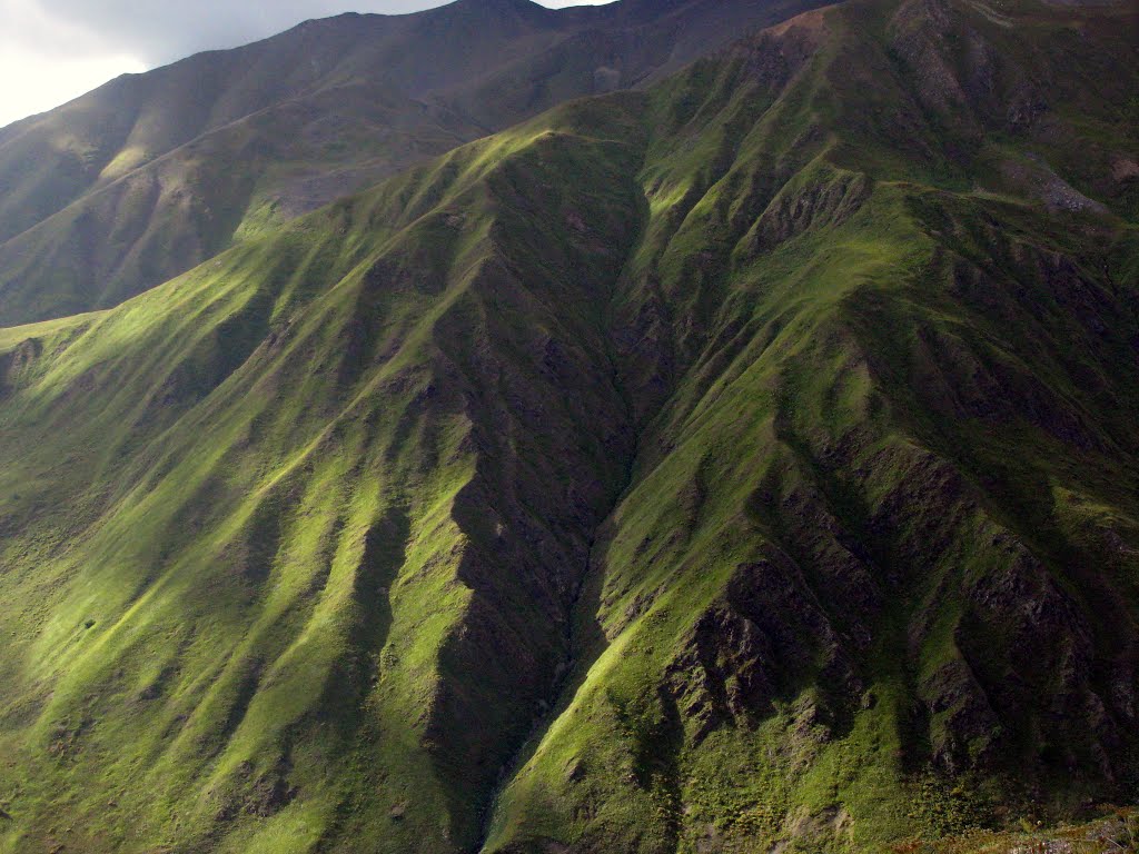 зеленият Кавказ (the green Caucasus), Советское