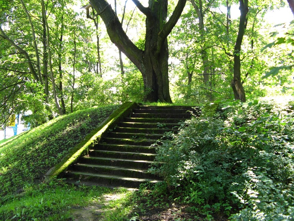 Покрытая мхом старая лестница, Кёнигсберг