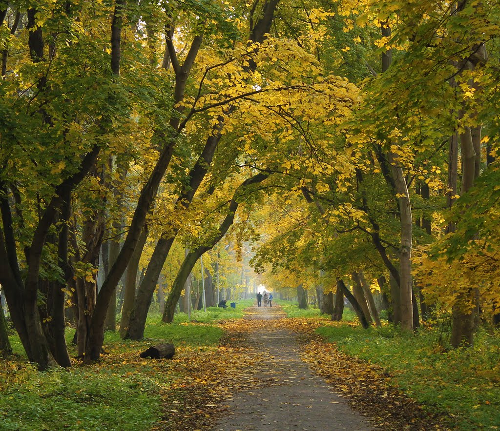 #1 Seaside Park in Baltiisk. Russia. Осенью на центральной аллее в Приморском парке в Балтийске., Балтийск