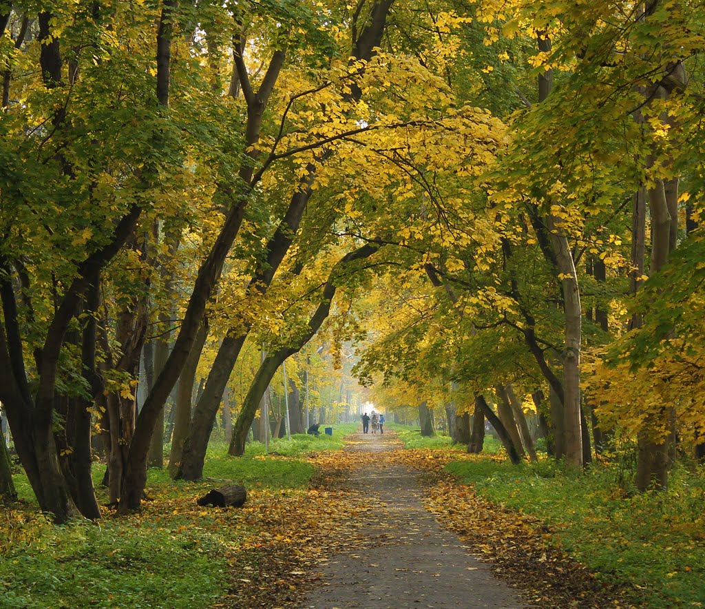городской осенний парк