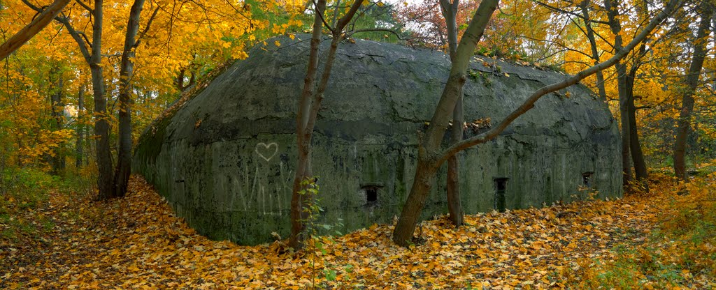Позиция бывшей немецкой дальнобойной батареи в Балтийске. Первый снарядный бункер, вид с западной стороны., Балтийск