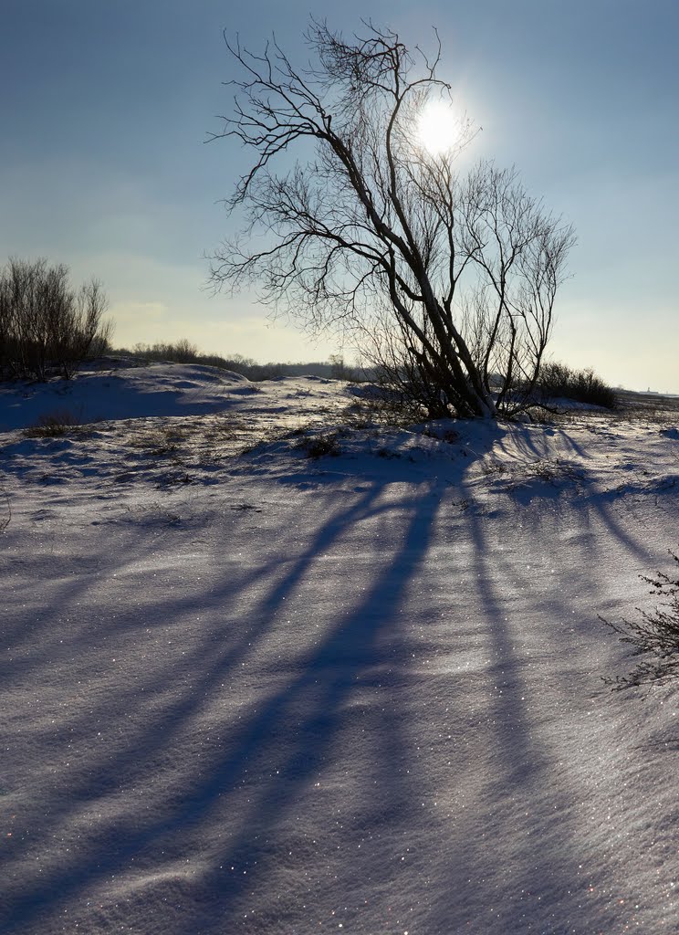 Зимние тени на прибрежных дюнах в Балтийске., Балтийск