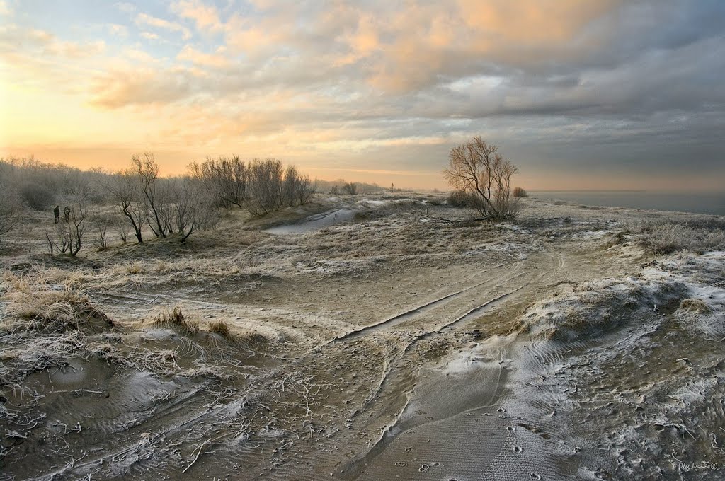 Остывшие дюны, Балтийск
