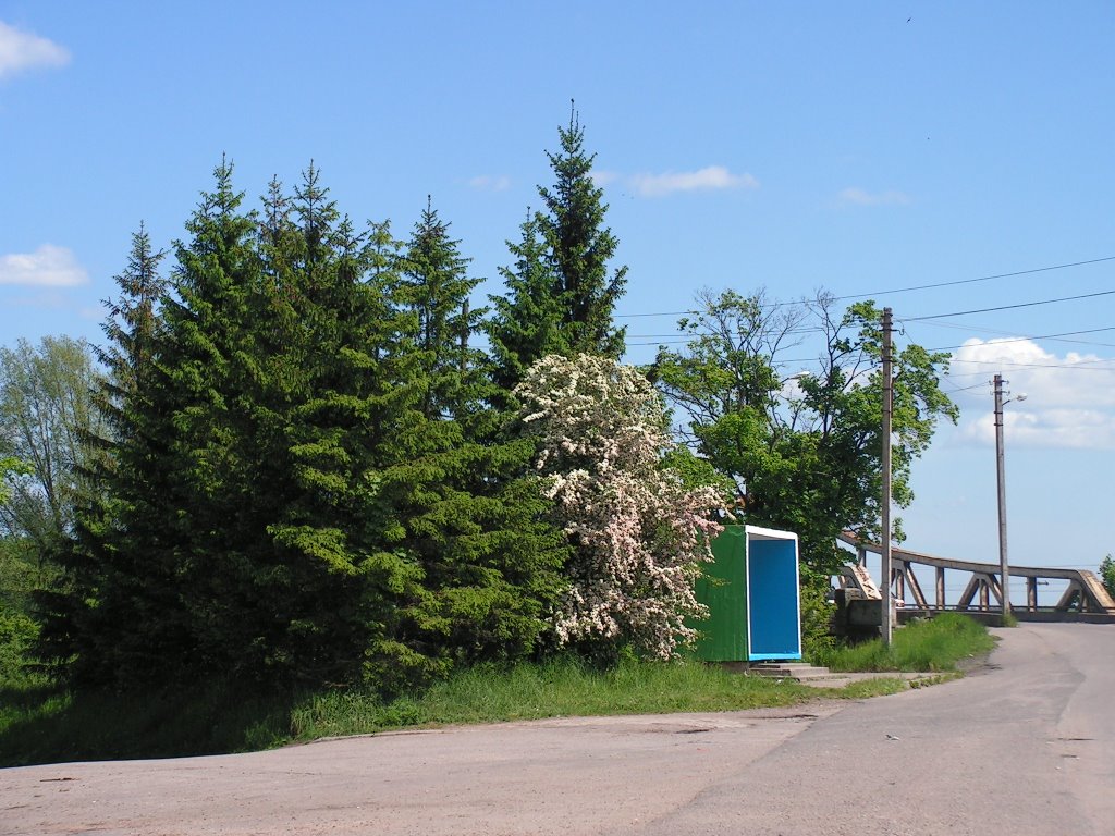 автобусная остановка у моста, Гвардейск