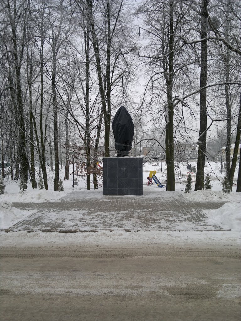 Ленин в мусорном пакете 16.01.2013, Гвардейск