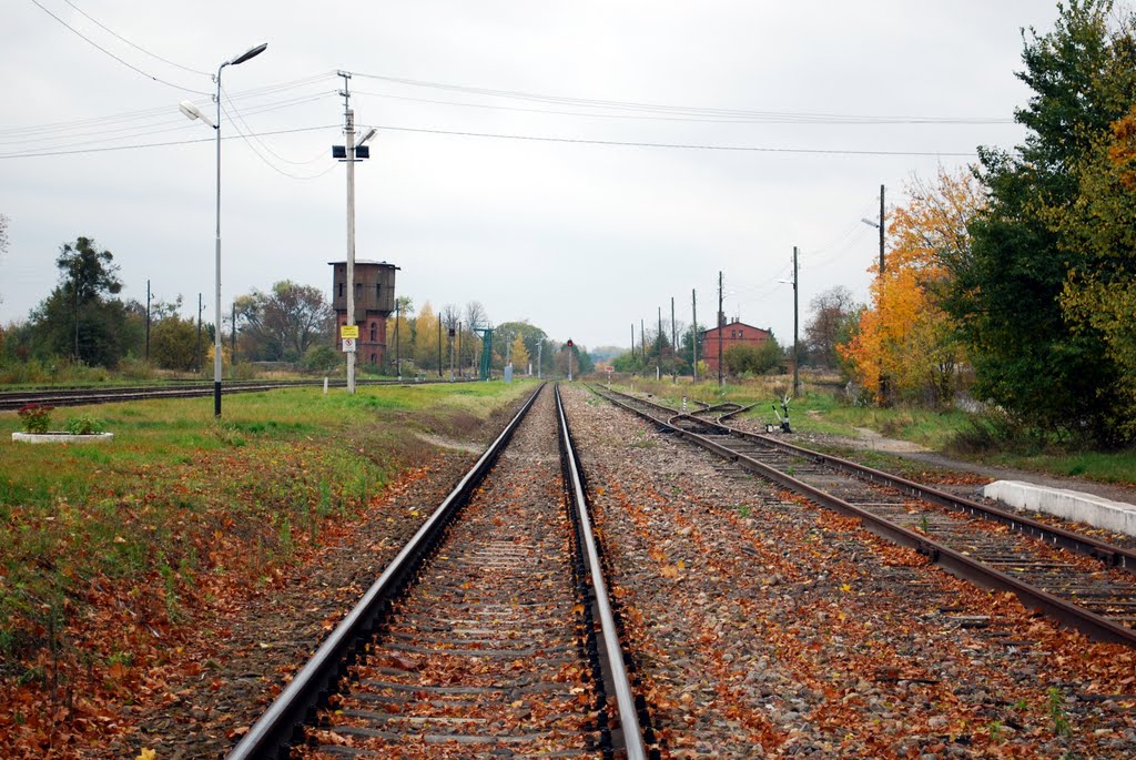 Station tracks (view of the south), Железнодорожный
