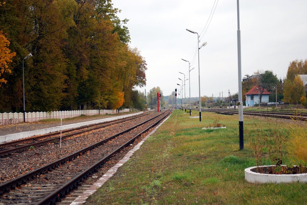 Station tracks (view of the north), Железнодорожный