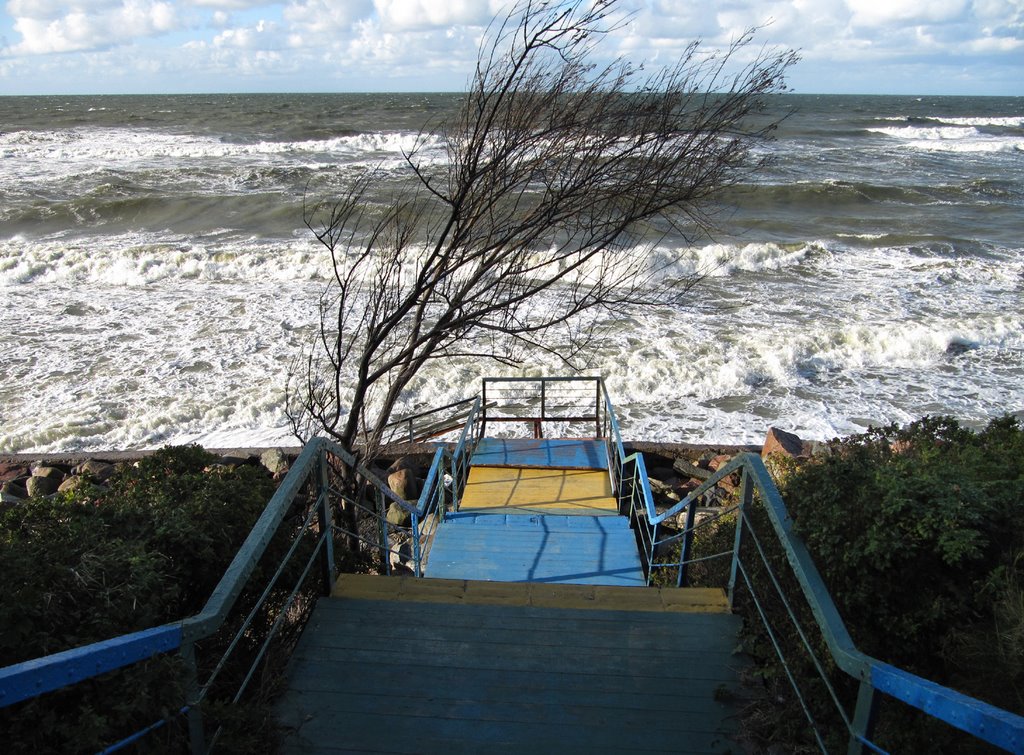Штормовое море и деревянная лестница на пляж в Зеленоградске., Зеленоградск